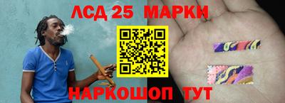 шишки Лесосибирск