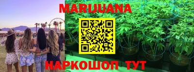 шишки Лесосибирск